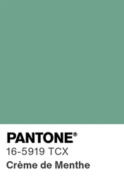 VERDE MENTA